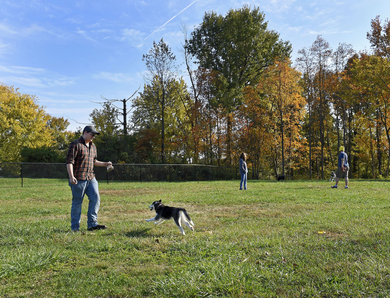 110717-nws-cville-bark-park-3.jpg